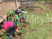 bobo_eco_children-harvesting-carrots
